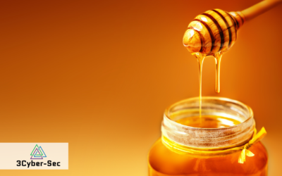 Experts’ Talk: Here’s What You Need To Know About Cybersecurity Honeypots